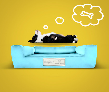 Die Hundebetten